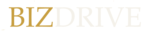 Bizdrive