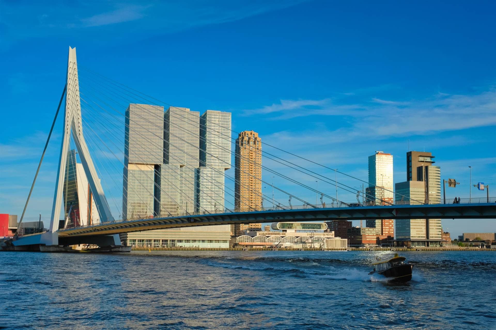 Drie luxe voertuigen van Bizdrive aan de Maas met de Erasmusbrug en de skyline van Rotterdam